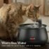 Bissell HydrateWell Cat Fountain