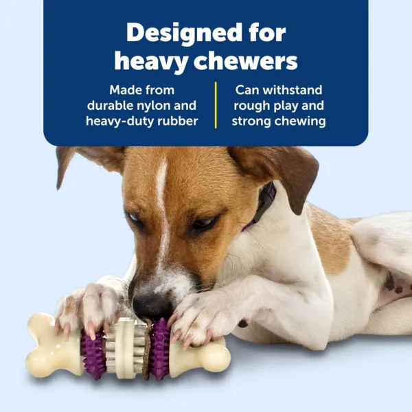 Dental Bristle Bone Dog Toy