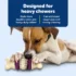 Dental Bristle Bone Dog Toy