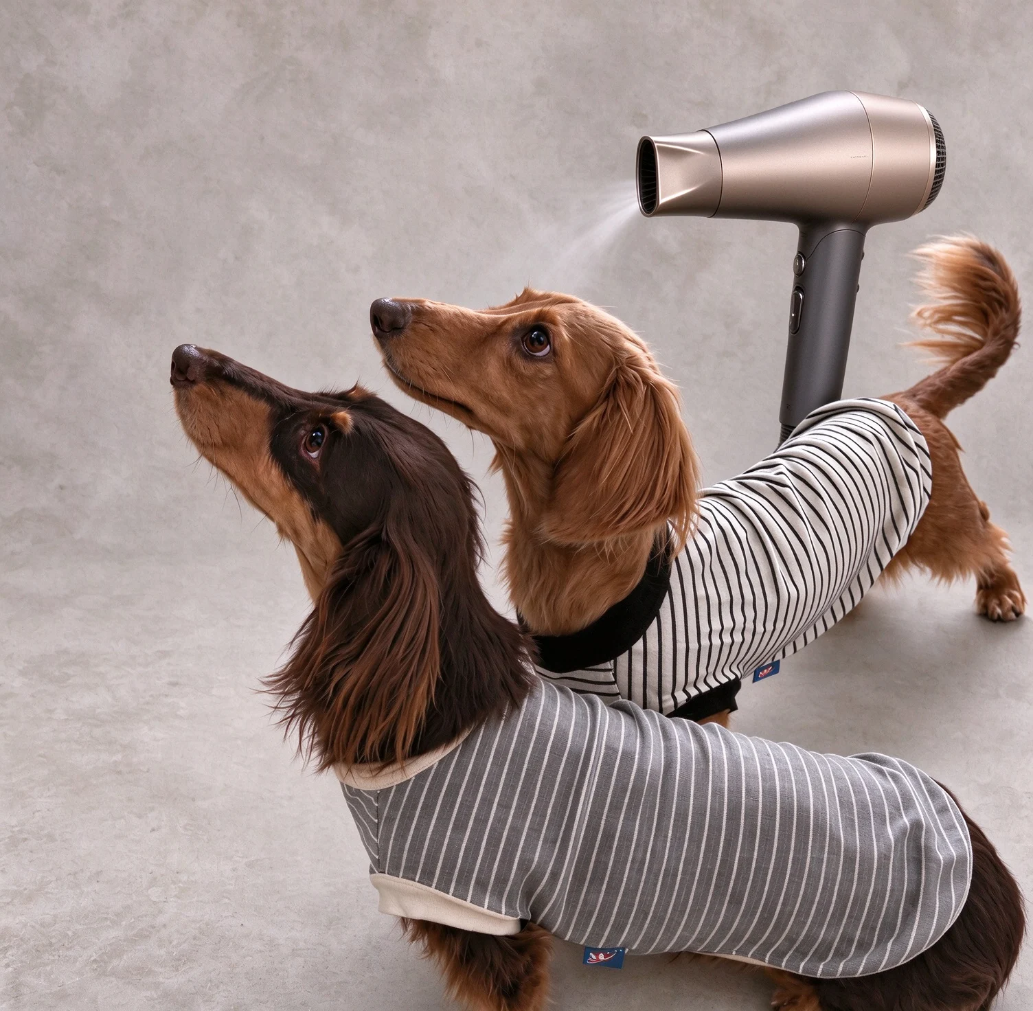 Dog Hair Dryers